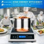 Best Portable Induction Cooktop For Canning