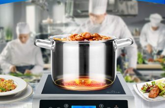 Best Portable Induction Cooktop For Canning