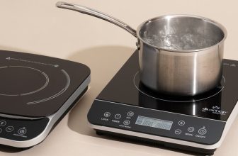 Are Portable Induction Cooktops Any Good?