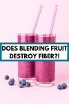 Do Blenders Destroy Fiber?