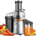 Best Juicers For Beginners