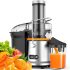 Should I Get A Juicer?